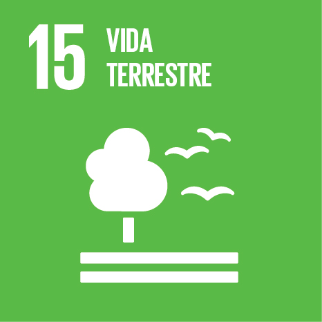ODS 15 - Vida terrestre